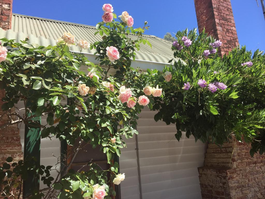 Birchwood Cottage Yarck Esterno foto